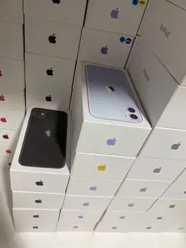 IPHONE 11 All Color