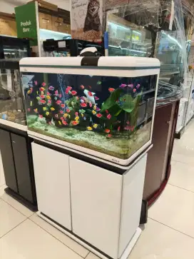 Promo kredit aquarium bunga 0% Gratis 2x Angsuran