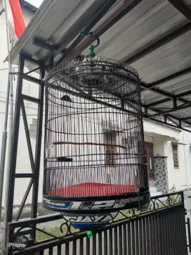 Sangkar murai ukuran no. 58 masih mulus gress siap pakai