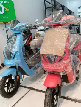 Exotic X-665 New
