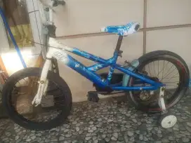 WimCycle bazzoko second