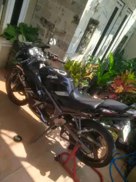 Ninja rr new ss lengkap