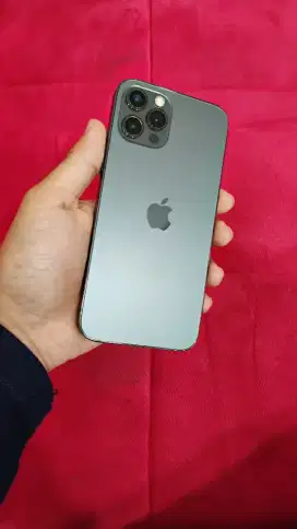 iPhone 12 pro 256GB All Operator