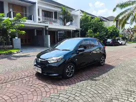 Brio E Matic 2023