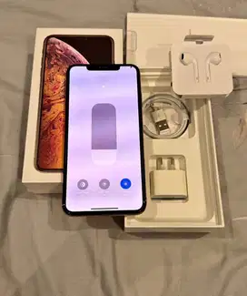 iphone xs max 256 gb
