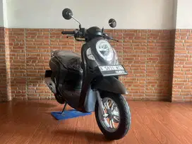 Honda Scoopy Stylish