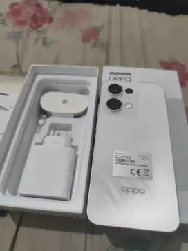 Oppo Reno 13 5G. 12/256