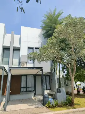 hoek invensihaus tabebuya bsd city