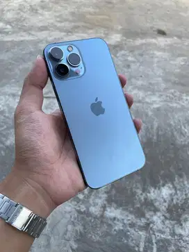 Iphone 13 promax 256 beacukai