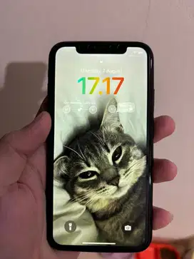iphone XR 64GB minus face id