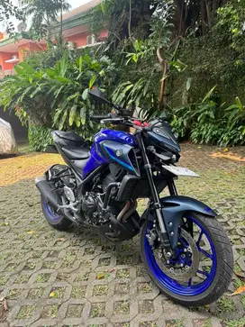 Yamaha MT-25 2022