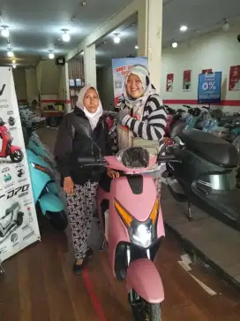Sepeda listrik D65 PK