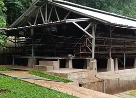 Tanah kolam pancing dan ayam petelur murah di campaka purwakarta