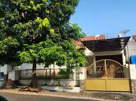 Rumah lama citraland utama dekat gwalk butuh renovasi