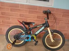 Jual cepat sepeda anak ring 16 bisa ada musik nya
