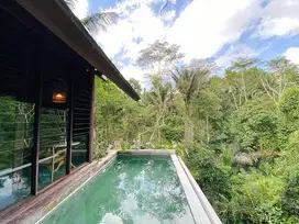 Luxury Villa with view to River & Tropical Forest in Ubud