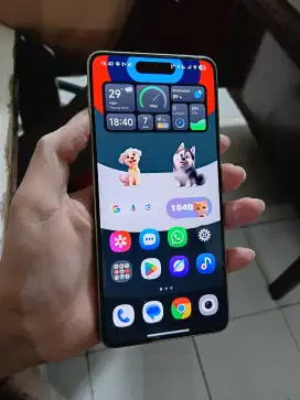 Xiaomi mi 14T Pro 12/256