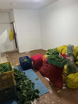 Dibutuhkan Karyawan Pengiriman Sayur (Driver / Helper)