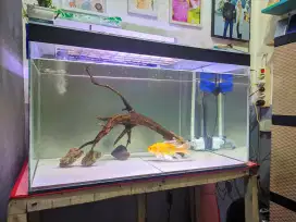 Aquarium ukuran 78x45x45 FULLSET