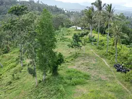Tanah diatas bukit Bengkaung di Senteluk Batu Layar