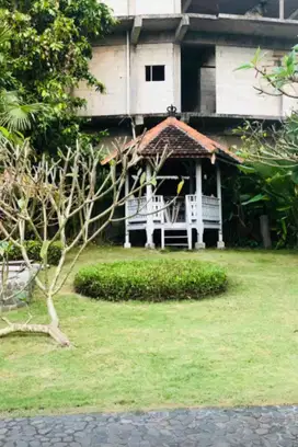 Premium Land for Sale Canggu