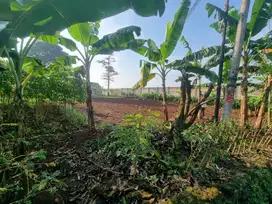 Dijual Tanah Pinggir Jalan Kampung Cicayur Nempel Tembok Giantara BSD