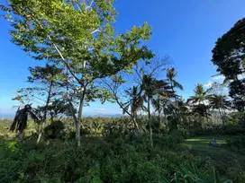Tanah Murah View Laut Dekat Tirta Gangga Abang Karangasem Bali