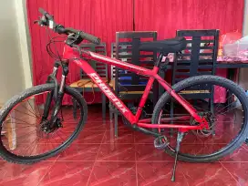 sepeda aviator 2689 rs