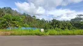 JUAL TANAH PEKARANGAN DI KALIMANTAN BARAT