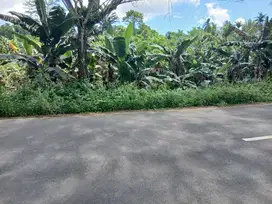 Jual Tanah 2 Hektar  di Kab.Sorong,Jln.Kontener