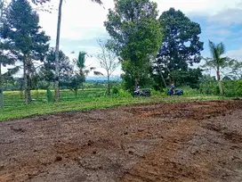 jual tanah Tabanan penebel 2are 50jt/are Nego