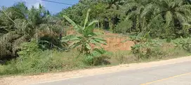 Bismillah tanah IKN 1 Ha Termurah SHM