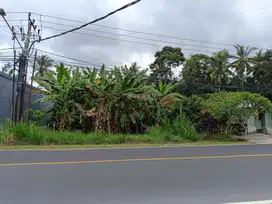 Dijual Tanah jalan utama Denpasar-Bedugul