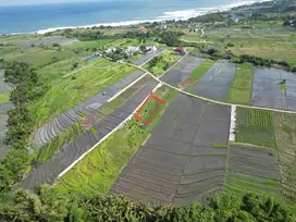 Available land for leasehold in Kedungu, Tabanan close to Beach