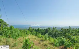 HP-NBL06 ,SHM,Tanah Di Lereng bukit dijual Di kayuputih