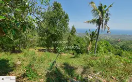 HP-NBL08 Tanah Lereng bukit 5000m2,SHM,di kayuputih-lovina