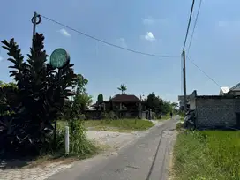 Dekat Jl. Palagan Tentara, View Persawahan