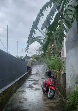 SALE!! MURAH, BUC TANAH 1,5 ARE DENPASAR UTARA