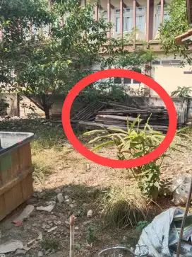 Di jual kayu bekas