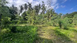 Tanah di Areguling dekat Kuta Mandalika