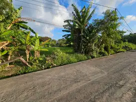 Tanah sewa kerobokan dekat seminyak