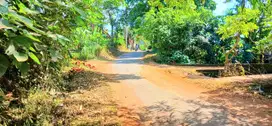 Tanah 1462 m2 Dkt Jl Ida Bagus Mantra Keramas Blahbatuh Gianyar Bali