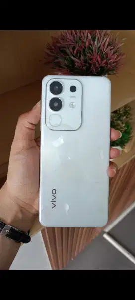 New arrival Vivo y29