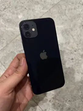 Dijual iPhone 12 256GB