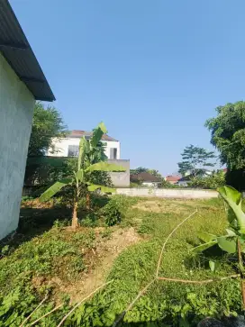 DIJUAL TANAH COCOK UNTUK INVESTASI DI CANDI  PRAMBANAN MANYARAN