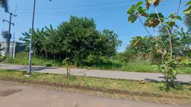 Tanah Luas Kotak 1.000m Dekat TOL di daerah Sentul Jawa Barat