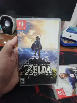 Zelda Breath of the wild switch