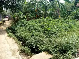 Di jual tanah Deket jalan utama Pesanggrahan indah cilebut