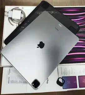Ipad pro 12,9 inch m2 gen6 128 GB wifi onli mulus 100%