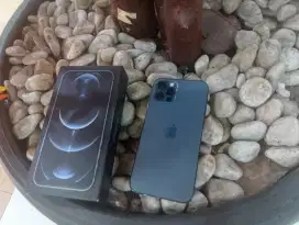 Iphone 12 pro 128gb mau sekali